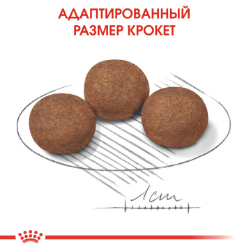 Royal Canin Medium Puppy