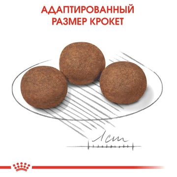 Royal Canin Medium Puppy