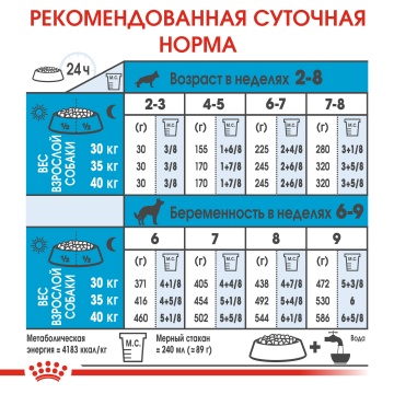 Royal Canin Medium Starter