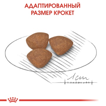 Royal Canin Mini Puppy