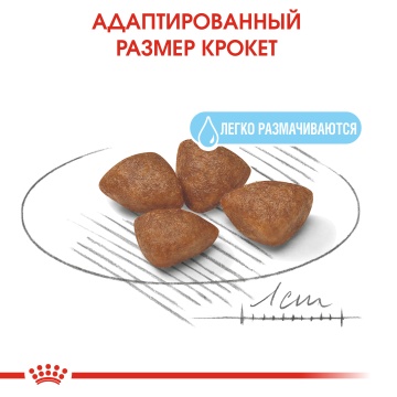 Royal Canin Mini Starter