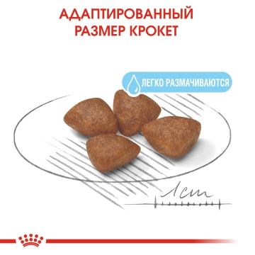 Royal Canin Mini Starter