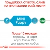 Royal Canin Mini Puppy (шматочки в соусі)