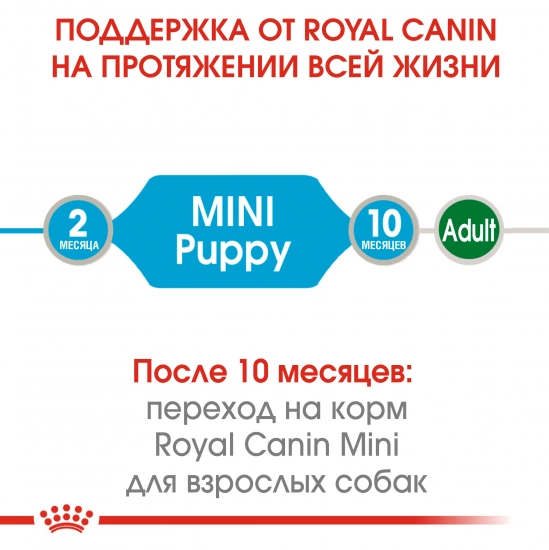 Royal Canin Mini Puppy (шматочки в соусі)