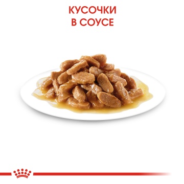 Royal Canin Mini Puppy (шматочки в соусі)