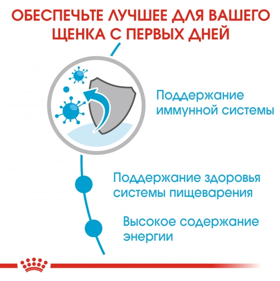 Royal Canin Mini Puppy (шматочки в соусі)