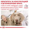 Royal Canin Urinary Dog S/O Pouch