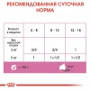 Royal Canin Mother & Babycat Ultra Soft Mousse