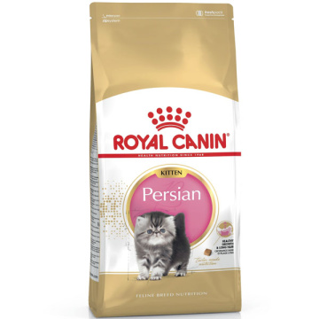 Royal Canin Persian Kitten