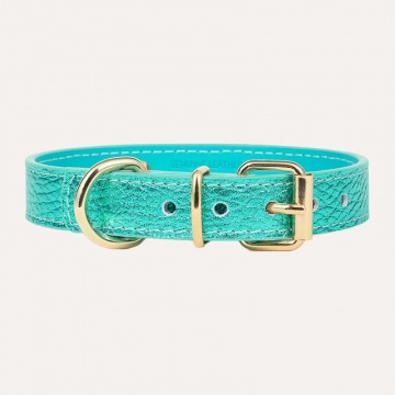 Ошейник для собак Branni Pets - Collar Metal Turquoise