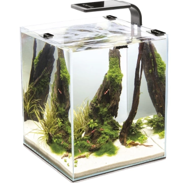 Аквариумный набор Aquael Shrimp Set Smart чёрный, прямой, 19 л