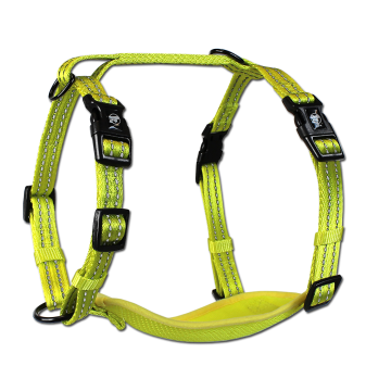 Alcott Visibility Harnesses S