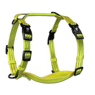 Alcott Visibility Harnesses M