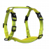 Alcott Visibility Harnesses M