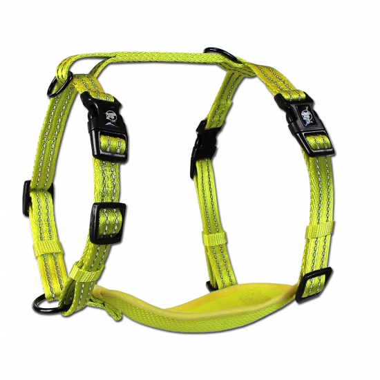 Alcott Visibility Harnesses M