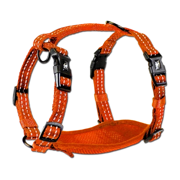 Alcott Visibility Harnesses S