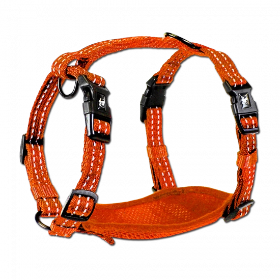 Alcott Visibility Harnesses S