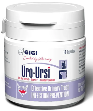 GiGi Uro-Ursi Уро-Урсі