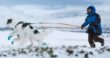 Черевики для собак Long distance bootie Non-stop dogwear Синій