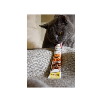 Паста GimCat DUO PASTE Anti-hairboll malt with cheese для кошек с чувствительным пищеварением всех пород мальт и сыр 