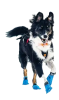 Ботинки для собак Long distance bootie Non-stop dogwear Синий