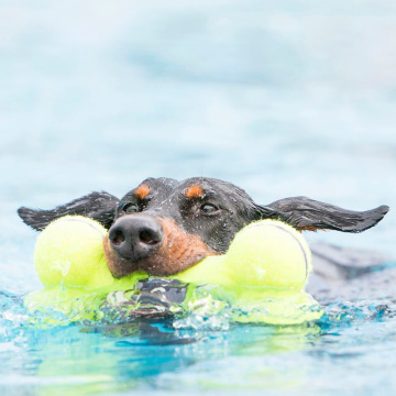 Kong Airdog Squeaker Bone