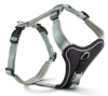 Шлейка Wolters Professional Comfort для собак, пом'якшена Зелений