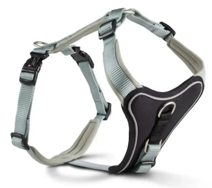 Шлейка Wolters Professional Comfort для собак, смягченная Зеленый