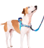 Шлей для собак Zee.Dog - Glitch Error #404 H-Harness