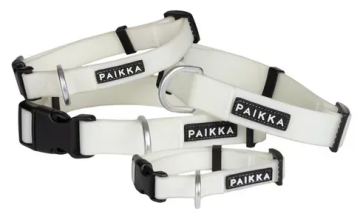 Нашийник для собак Glow Paikka