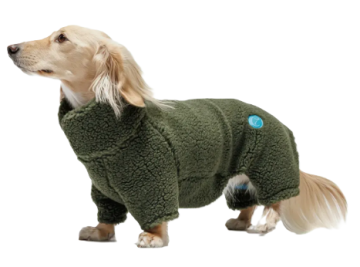 Светр для такс і схожих порід собак Cloud7 Cornwall Dachshund Оливковий