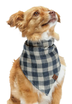 Бандана для собак Cloud7 Check Синій