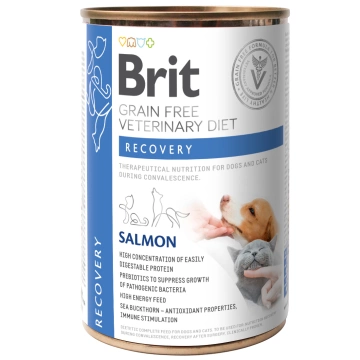 Влажный корм Brit VetDiets Recovery для собак и кошек во время выздоровления, восстановление после операции