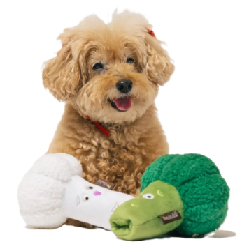 Игрушка для собак Farm Fresh Collection - Broccoli Toys Pet Play