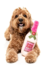 М'яка іграшка для собак FuzzYard Dog Day Rosé