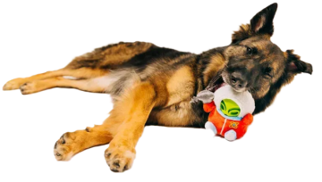 Іграшка жувальна для собак Astro Explorer Alien Buddies Pet Play