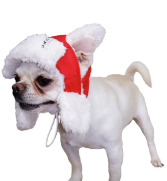 Шапка с ушками DogsBomba красная