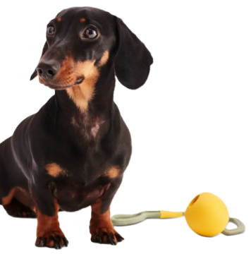 Іграшка м'ячик на мотузці для собак Beco Pets Slinger Ball Жовтий