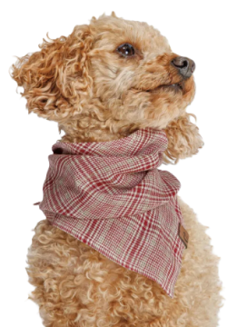 Бандана для собак Cloud7 Check Червоний