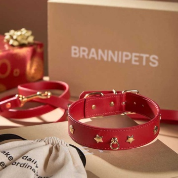 Кожаный ошейник BranniPets - Nara studded red collar