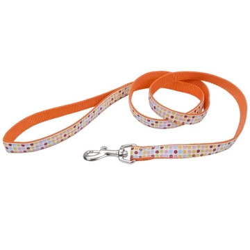 Coastal Pet Attire Ribbon Поводок нейлоновий для собак, 1,6см*1,2 м