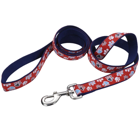 Coastal Pet Attire Ribbon Поводок нейлоновий для собак, 2,5 см * 1,8 м