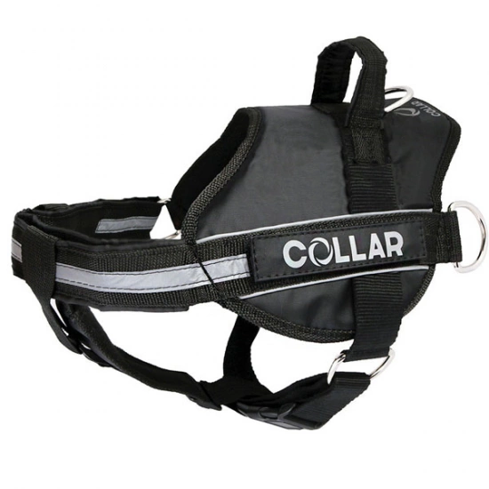 Шлея Collar DogExtremе зі змінним написом