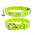 Collar Waudog Glamour Нашийник шкіряний з QR паспортом для собак, "Зіронька" Салатовий