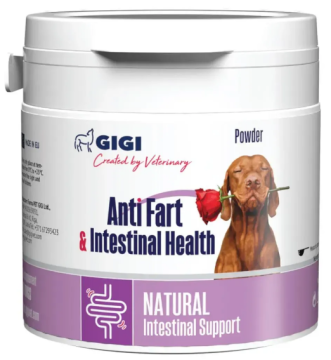 GiGi Anti Fart & intestinal Health  Анти Фарт & Інтестінал Хелс