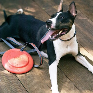 Dexas Off Leash Frisbee Flyer летающая тарелка с карабином