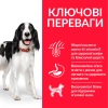 Hills SP Canine Adult Medium Breed Lamb & Rice для средних пород с ягненком и рисом
