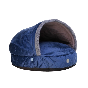 Harley and Cho Cover Plush Royal Blue