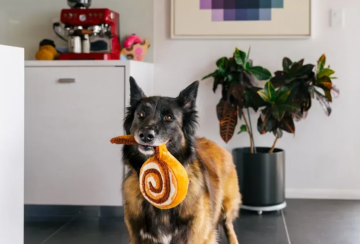 Игрушка для собак Pup Cup Cafe - Cinnabone Pet Play 