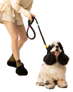 Поводок для собак Maogoublue Marshmallow Standard Dog Leash - Obsidian Black